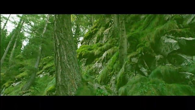 Букашки - обычный сериал? | Мульт-разбор букашек смотреть онлайн