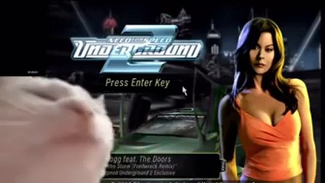 Cat vibing to riders of the Storm need for speed underground 2 смотреть онлайн