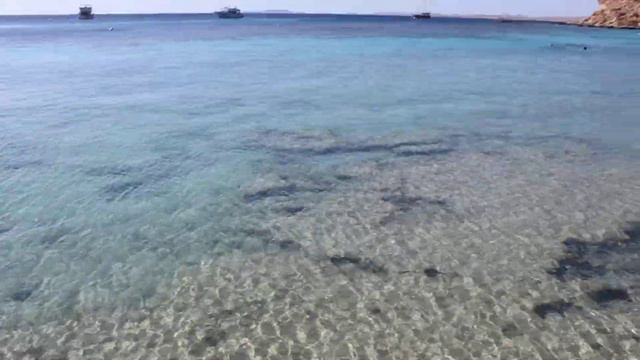 Шарм Эль Шейх.Отель Club El Faraana Reef.Безветренная бухта.