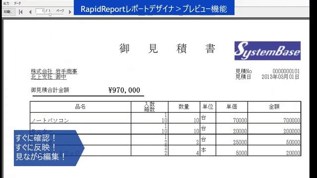 Java　.NETから使える！帳票ツール　RapidReport　1ライセンス￥22,000（税込）！（音声なし） смотреть онлайн