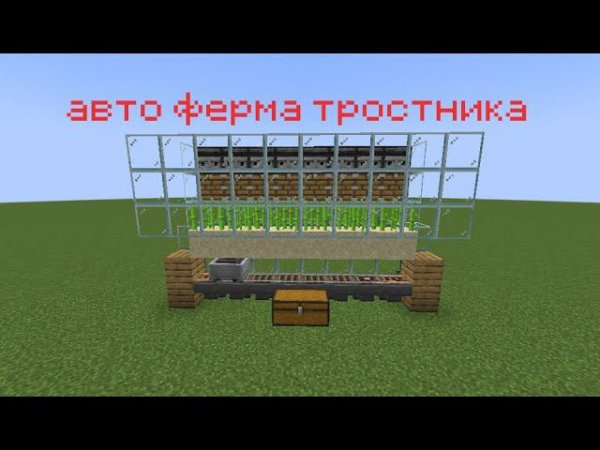 как построить авто ферму тростника в майнкрафте