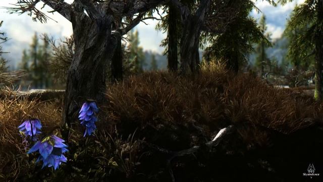 Skyrim HD - EQUILIBRIUM - RealVision ENB [ PC | HD 1080p ] смотреть онлайн