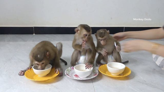 Wow Very Hungry!! Mom Surprise 3 Cuties With Lotus Root Meal Soup, 3 Little So Much Like смотреть онлайн