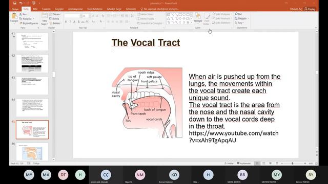 11 03 2021 Phonetics & Phonology Part II Group I смотреть онлайн