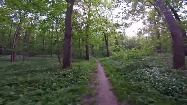 Sony FDR100 und GoPro3+ kombiniert-Bärlauchblüte22.4.18-Biebesheim-Frankfurt-Mannheim-Wien-NY-Lorsc смотреть онлайн