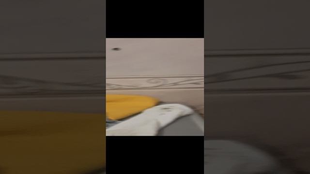 настоящие утро ?басика и Мяу Мяу смотреть онлайн