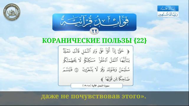 КОРАНИЧЕСКИЕ ПОЛЬЗЫ (22) СУРА "МУРАВЬИ" АЯТ 18-19 смотреть онлайн