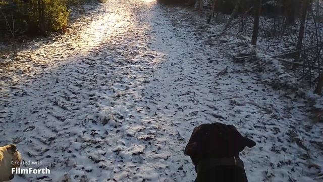 Зима в Швеції. Озеро, що замерзло. Winter in Sweden. Frozen lake. смотреть онлайн