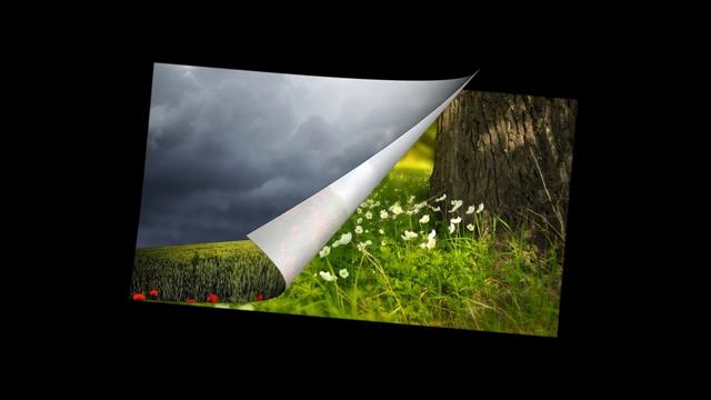 11 октября нашей подсказкой будут запахи и звуки. Занимаемся ароматерапией смотреть онлайн