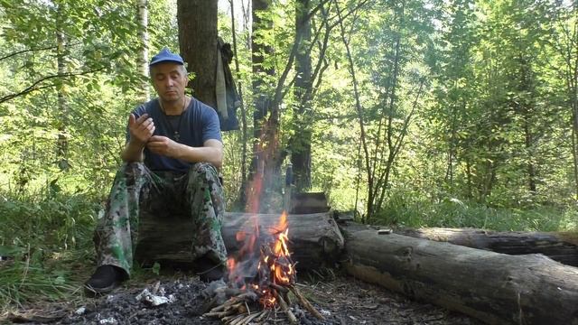 Этот удивительный мир. смотреть онлайн