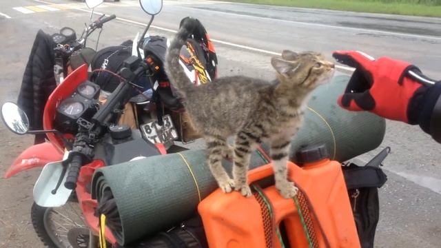 Путешествие на ИЖ планета 5 смотреть онлайн