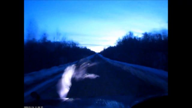 Как не сбить по трассе глухаря жестко смотреть онлайн