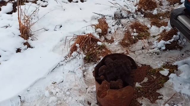 Что нам снег что нам зной что нам дождик проливной когда копаем мы с тобой. ТХ 850 смотреть онлайн