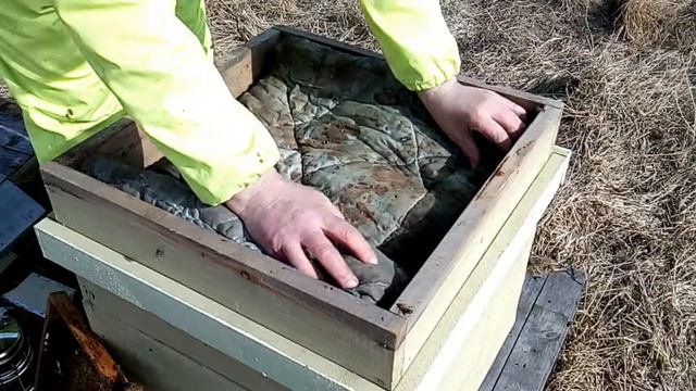 Осмотр пчелосемей. Добавляем корма в семьи. Медо-перговые рамки. смотреть онлайн