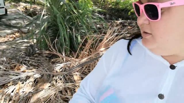 Ищем где можно поесть // Дивная красота и помойка рядом смотреть онлайн