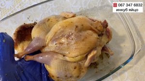 Можно ли есть мясо перепёлки ?//Как замариновать перепелов