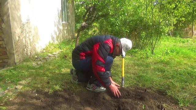 10 Кашляну и начну копать (1).mp4 смотреть онлайн