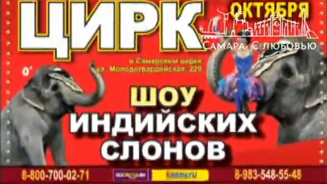 Индийские слоны в Самарском цирке смотреть онлайн