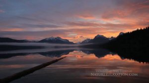 It's a Wonderful Life&Black russian cover "Этот сказочный мир"