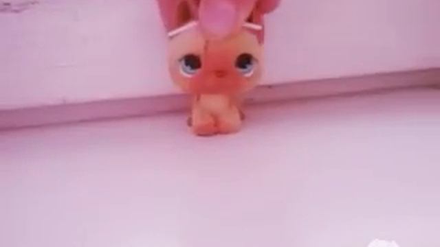 Littlespetshop~Autiosaari смотреть онлайн