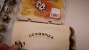 Эксперимент.实验. Перепелиные яйца  из магазина. Вылупятся ли перепелята?