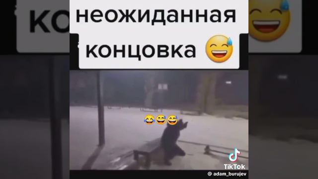 только не смейсяы