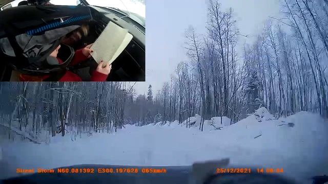 онбоард кубок Парголово-кросс, зачет Стандарт-2000, СУ1, Горбунов\Шинкарева смотреть онлайн