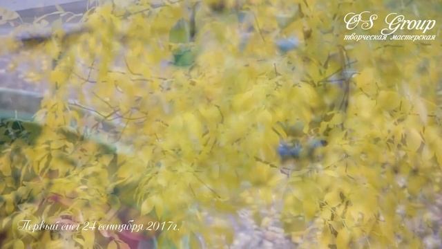 Первый снег в Междуреченске 24 09 2017 смотреть онлайн