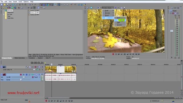 Урок 18. Из видео делаем фото в Sony Vegas. смотреть онлайн