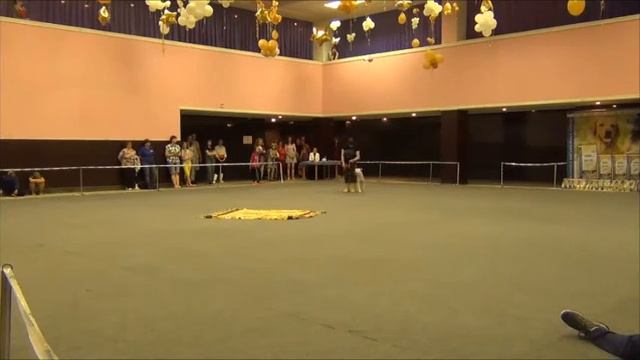 "Хвостатый перепляс - 2016". Челябинск. 18.06.2016 смотреть онлайн
