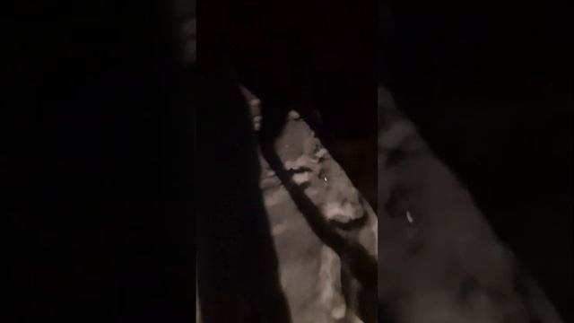 Иду кормить коня/Карачаевская порода лошади. смотреть онлайн