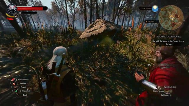 Witcher 3 #34 ~ Save Anna ~ Gameplay Walkthrough Playthrough Blind Lets Play смотреть онлайн