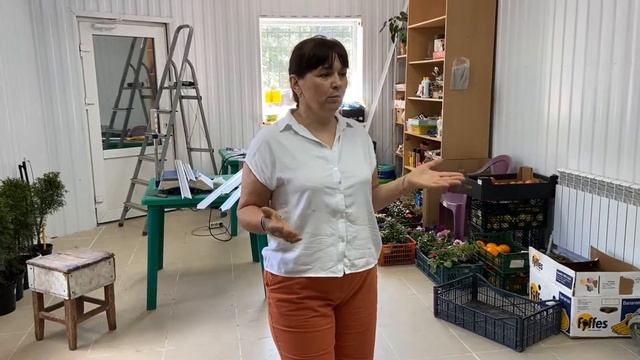 Идеи как начать бизнес смотреть онлайн