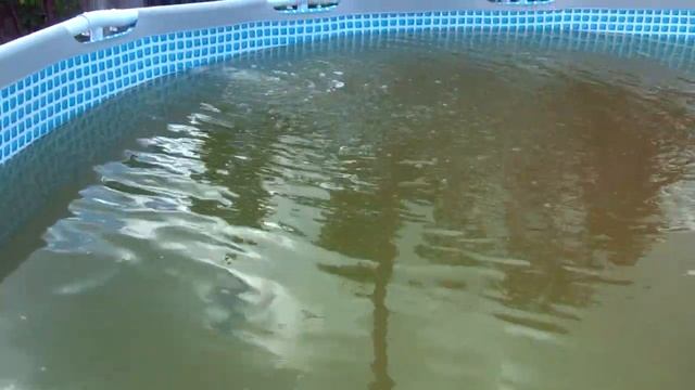 Очистка бассейна перекисью водорода. Безопасная химия для бассейна. Intex 366х99. смотреть онлайн
