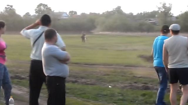 бега на Новониколаевской выставке смотреть онлайн