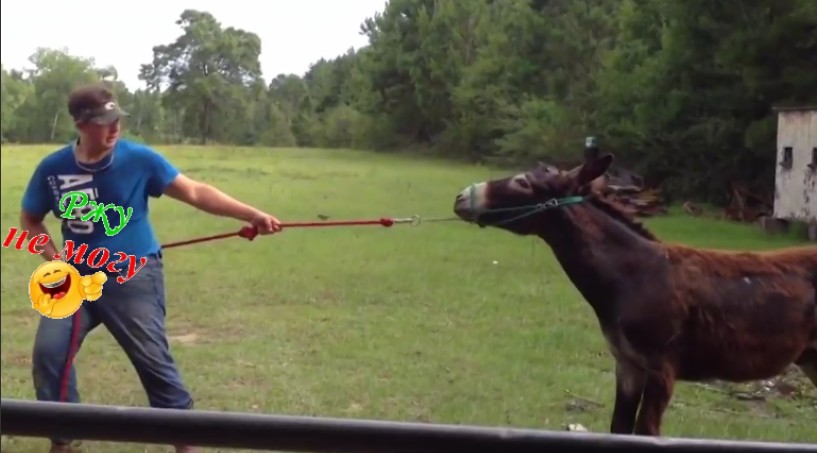Я НЕ МОГУ,СО СМЕХУ УМРУ!!! ЛЮДИ ХОТЕЛИ,НО ПОТЕРПЕЛИ НЕУДАЧИ... смотреть онлайн