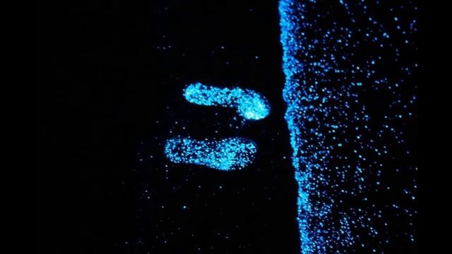 Топ 5 удивительных явлений природы смотреть онлайн