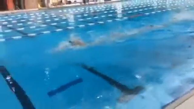 Swimming WR James Guy ,Georgio Paltrinieri challenge плавание смотреть онлайн