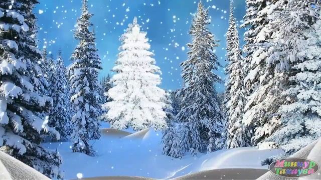 Мин сөярмен сине шашынып. Джалиль Насибуллин. Автор видео: Миннур Тахаува смотреть онлайн