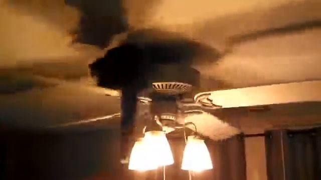 Кошка думает что она Карлсон