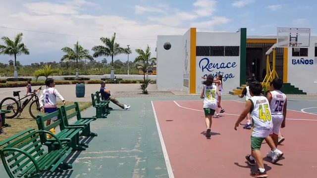 Pant. Pano. Real vs The Lions. 1er. Cuarto. Cuadrangular Troncal. смотреть онлайн