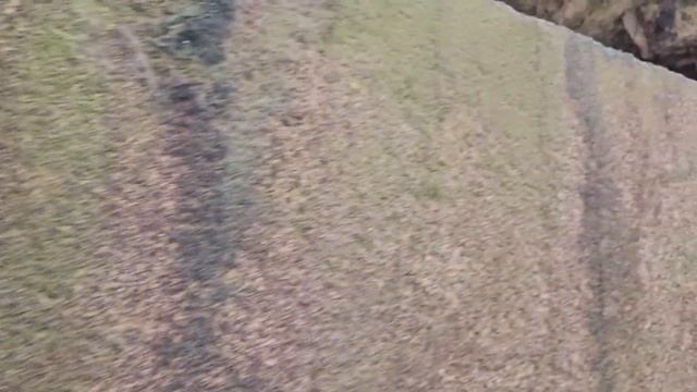 Порфировые саркофаги Стамбула во дворе археологического музея #стамбул смотреть онлайн