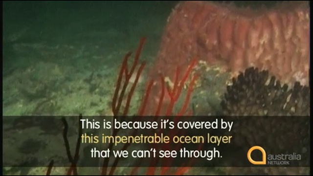 15 - Sea Floor смотреть онлайн