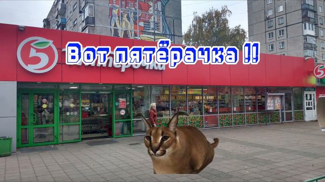 Шлёпа купил фарш!!! (Анимация) смотреть онлайн