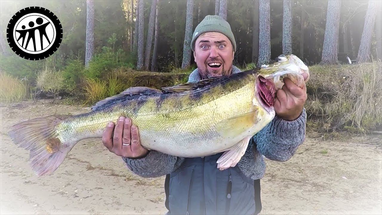 Судак ГИГАНТ / Просто у друга сломался эхолот смотреть онлайн