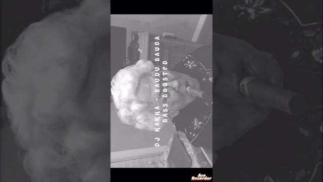 DJ Karka - Baudų bauda [BASS BOOSTED] смотреть онлайн