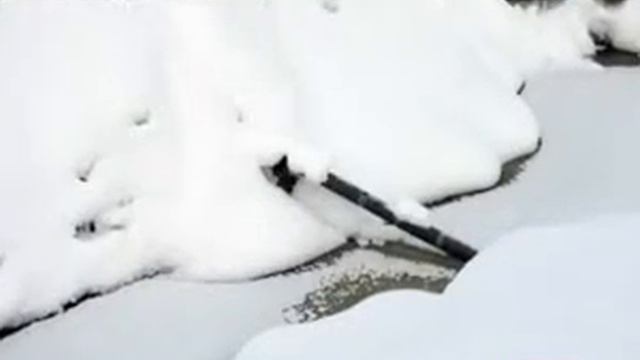 tv100 video.mp4 смотреть онлайн
