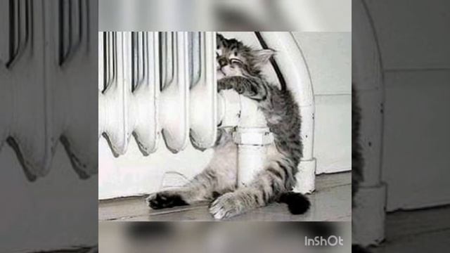 Доброго дня!.. Начните день с улыбки!... смотреть онлайн
