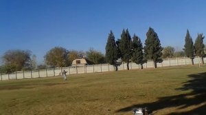 Первый полет Nobler. Кордовая модель после восстановления.