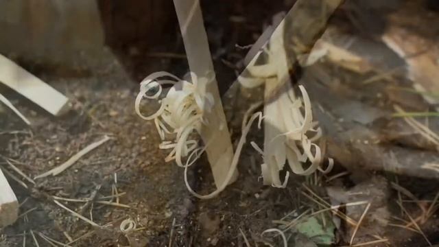 How to use Knife? 5 Skills with Knife ??? смотреть онлайн